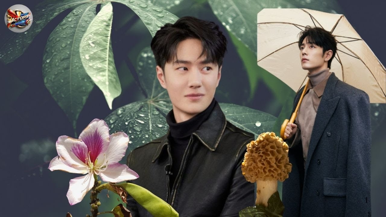王一博肖战私下互动首次曝光！多年未合体却暗中守护？导演一句话揭开真相！|Wang Yibo Xiao Zhan