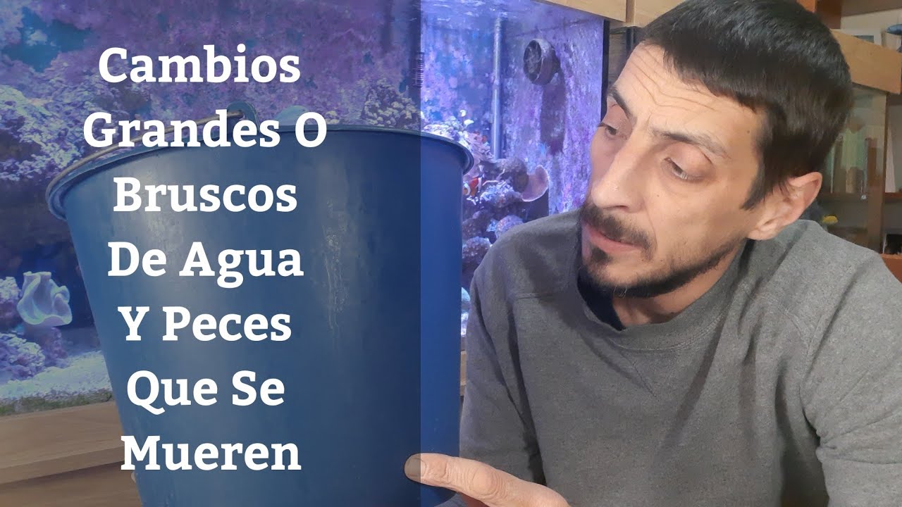 🔵 Cambios Grandes O Bruscos De Agua Y Peces Qu&eacute; Se Mueren (Acuarios MB)