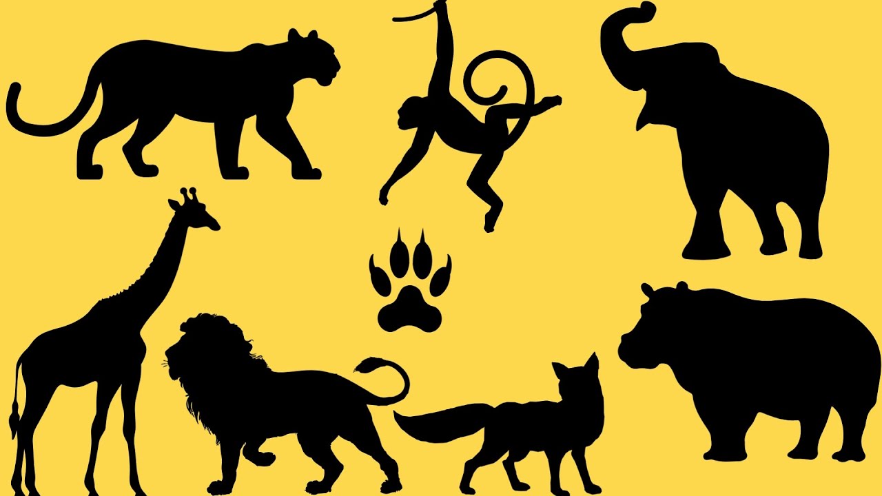 Wild Animal Adventure! 🦁🌿 Fun & Educational Wildlife Video for Kids! | Don't forget to subscribe !!