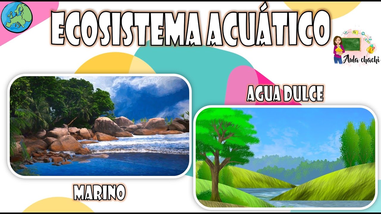 Ecosistema Acuático | Aula chachi - Vídeos educativos para niños
