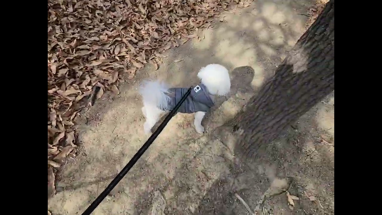 레옹 르미 절미