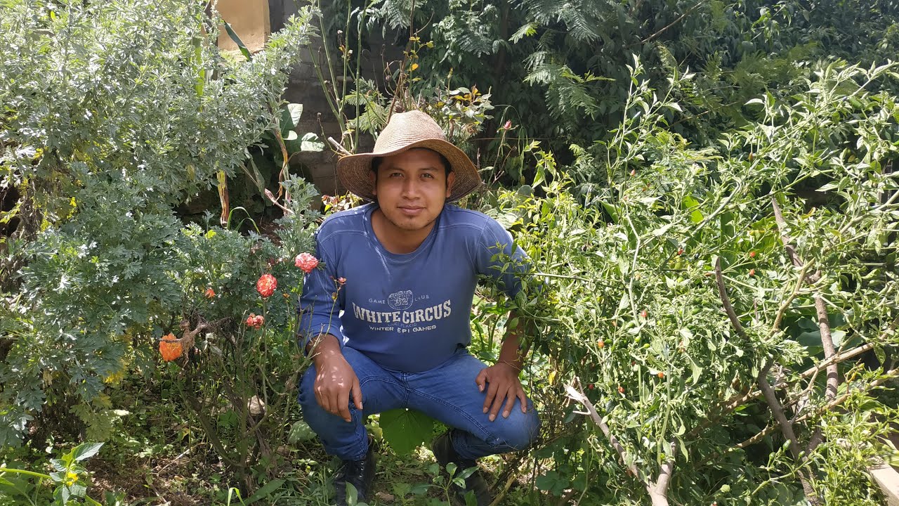 Les muestro los cultivos, remedios caseros y flores que tiene mi mamá sembrado en su huerto