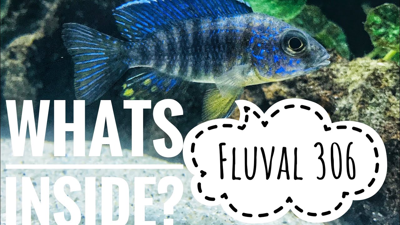 Fluval 306 Canister Filter