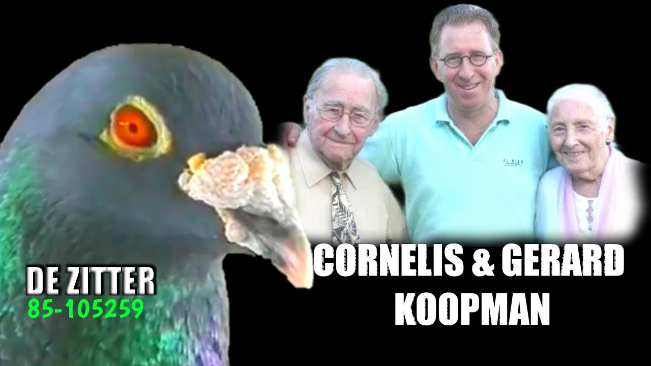 #PigeonFancierHistory | C & G KOOPMAN