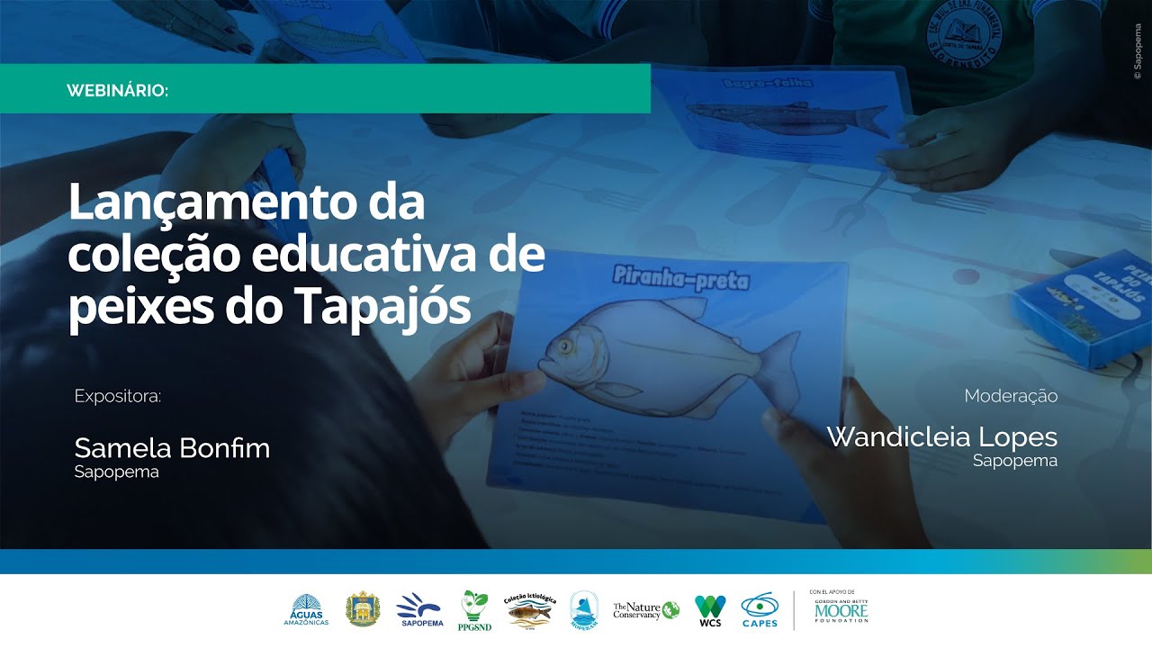 Webinar de lançamento da coleção educativa 