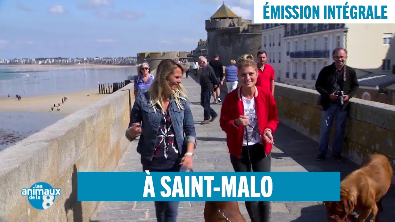 Les Animaux de la 8 à Saint-Malo - Émission intégrale