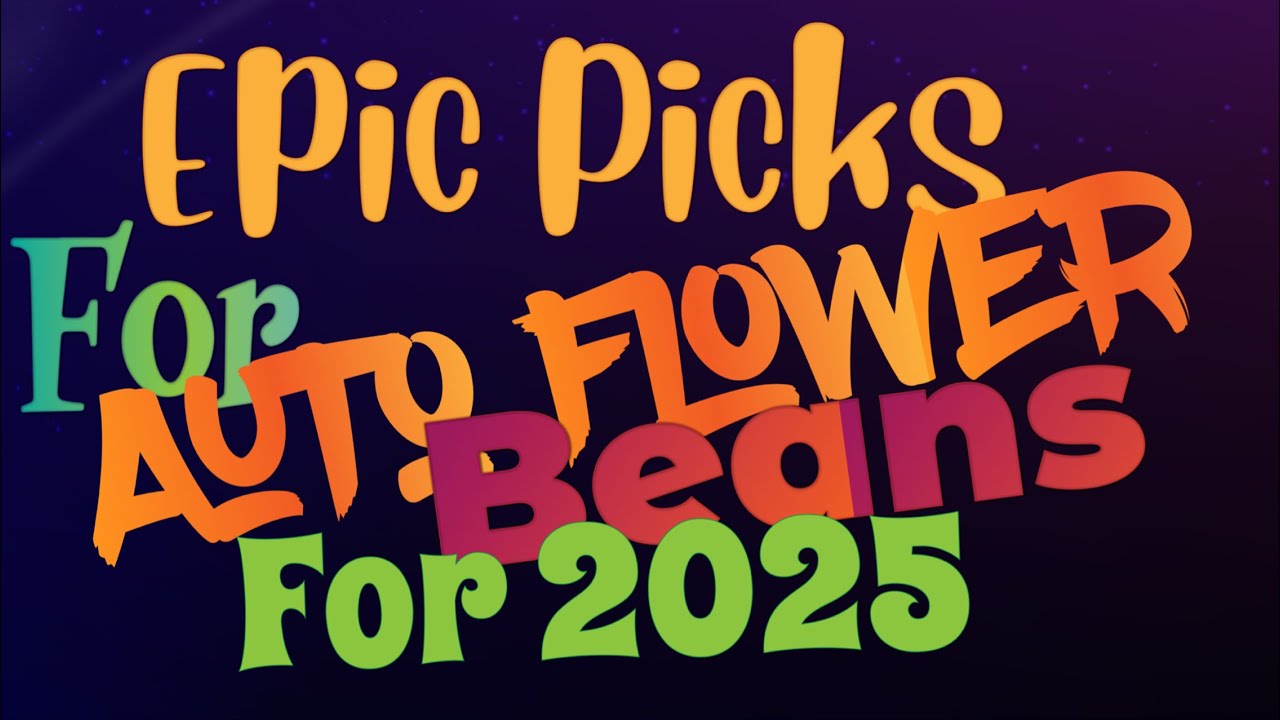 Autoflowers! My Best Picks for #autoflowerbeans in 2025...