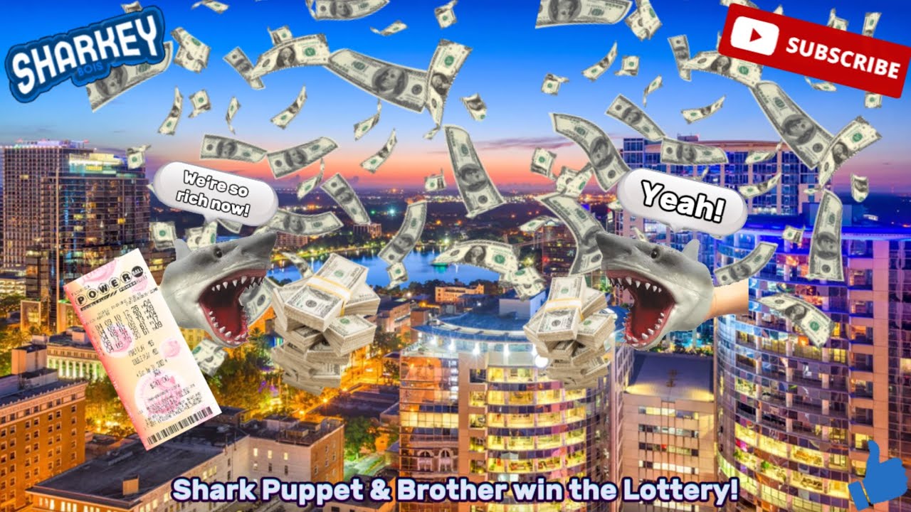 Shark Puppet & Brother win the Lottery! 🧀💵🦈🦈