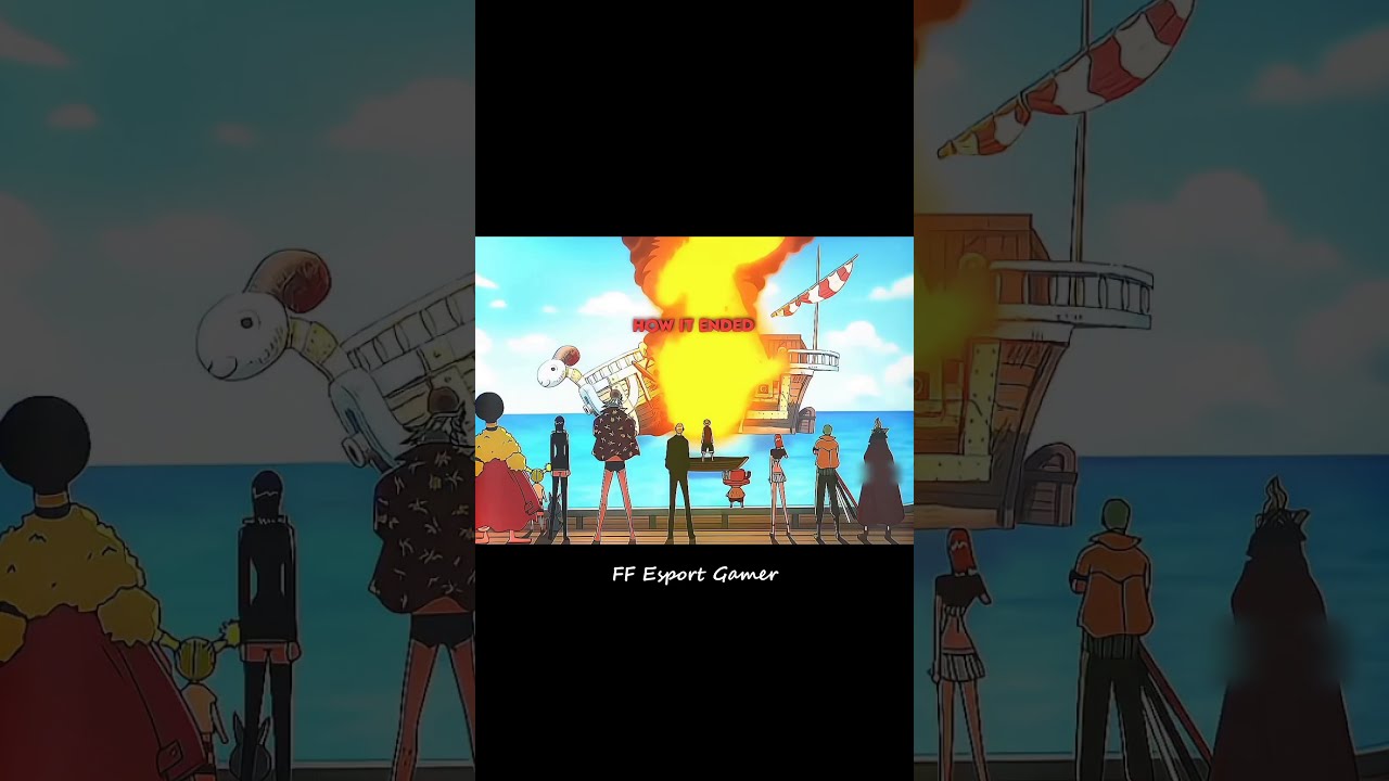 Luffy's Adventure Begins: From First Ship to Final Farewell 