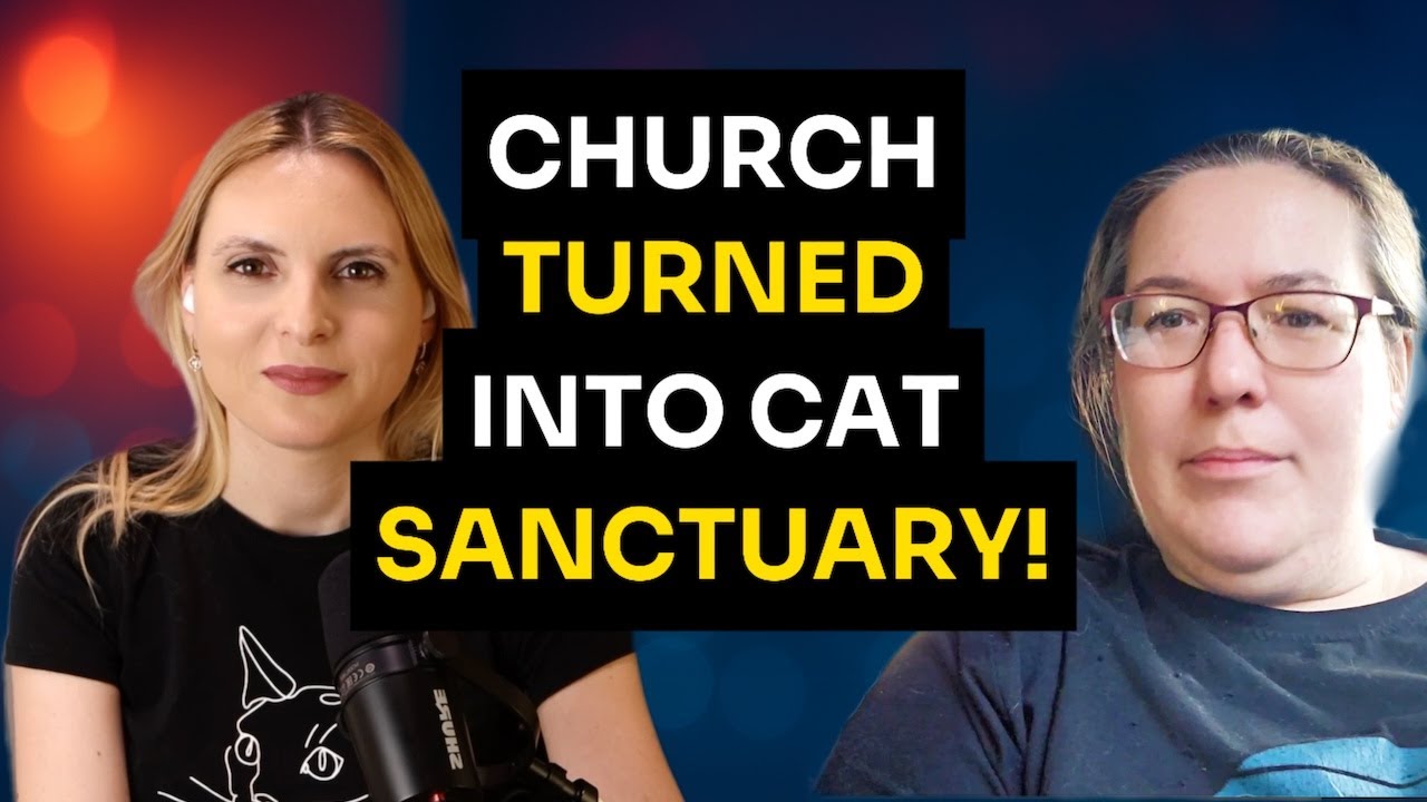 Old Church Is Now Home to Dozens of Rescued Cats! A Mission of Love | Amanda Coats