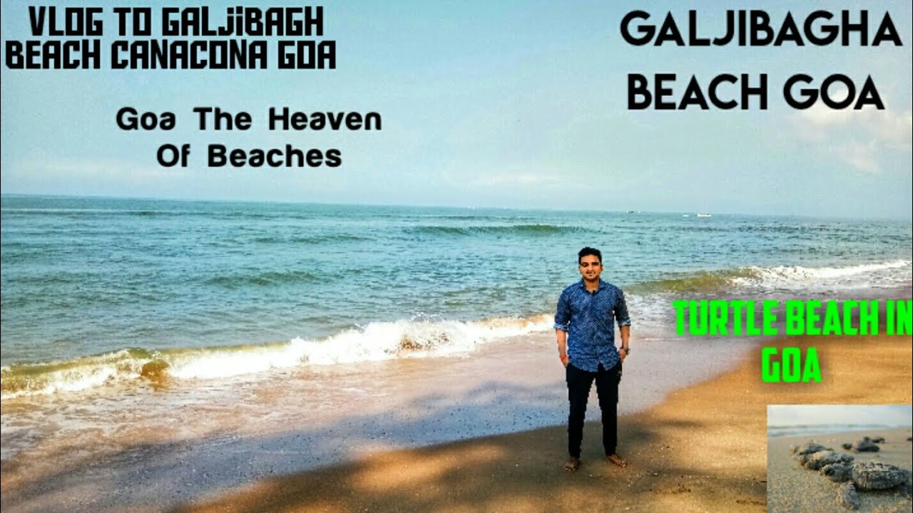 Galjibagha Beach Goa | Vlog To Galjibagh Beach Canacona Goa |Turtle Beach In Goa |Goa The Heaven