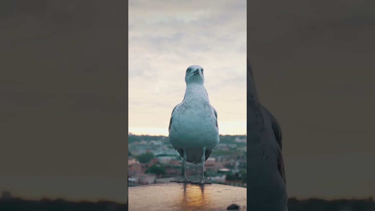 cinematic shots in italy // #travel #inspiration #europe #italy #filmmaking #cinematic