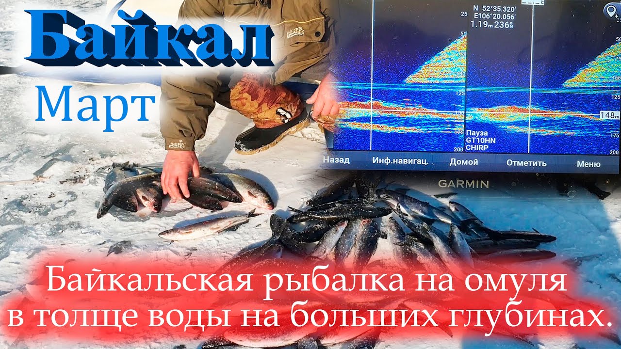Байкальская рыбалка на омуля в толще воды на больших глубинах.