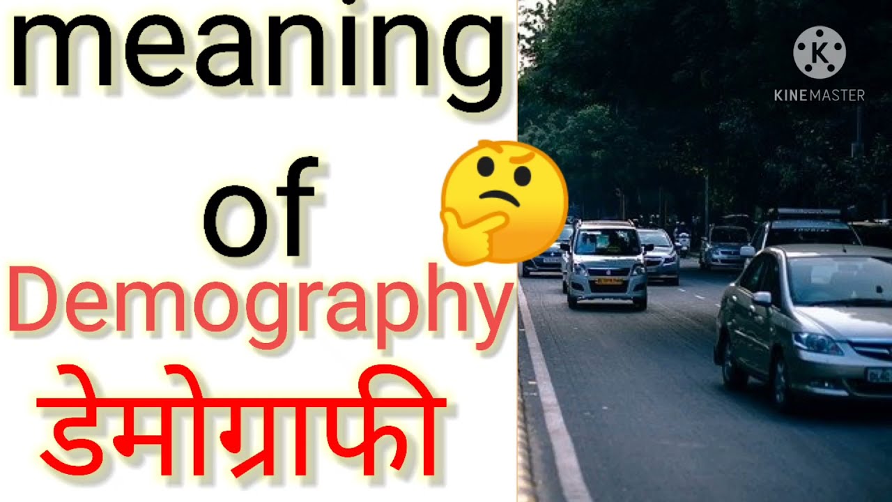 meaning of demography?