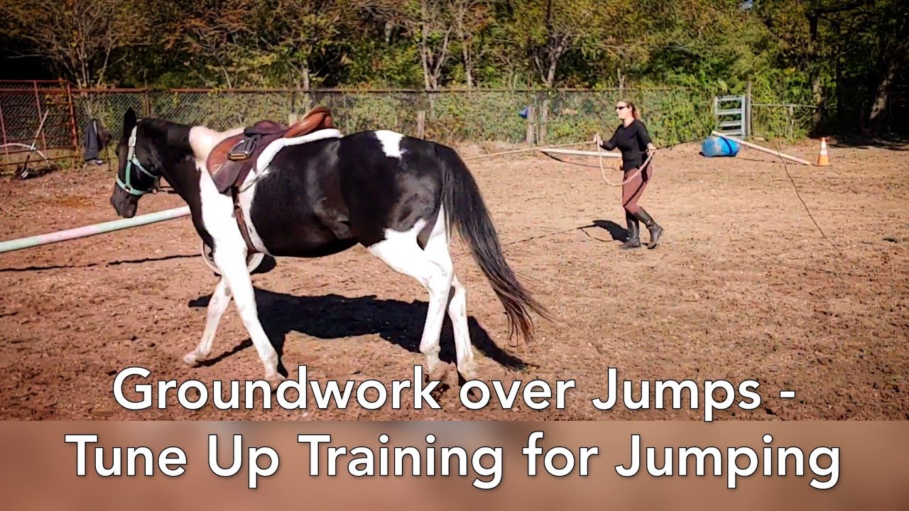 Groundwork over jumps - Tune up training