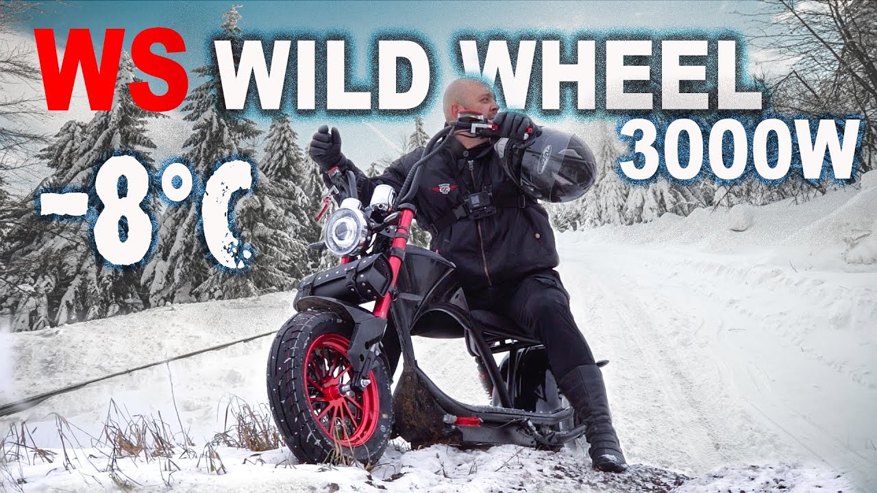 Citycoco WS-WILD WHEEL электро чоппер! Жесткий тест-драйв