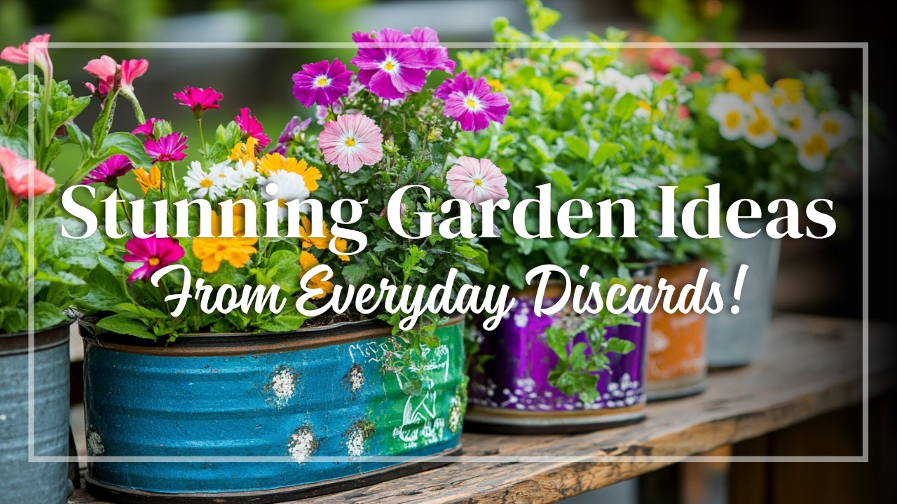Eco-Friendly Garden Design: Breathtaking Decor from Everyday Discards
