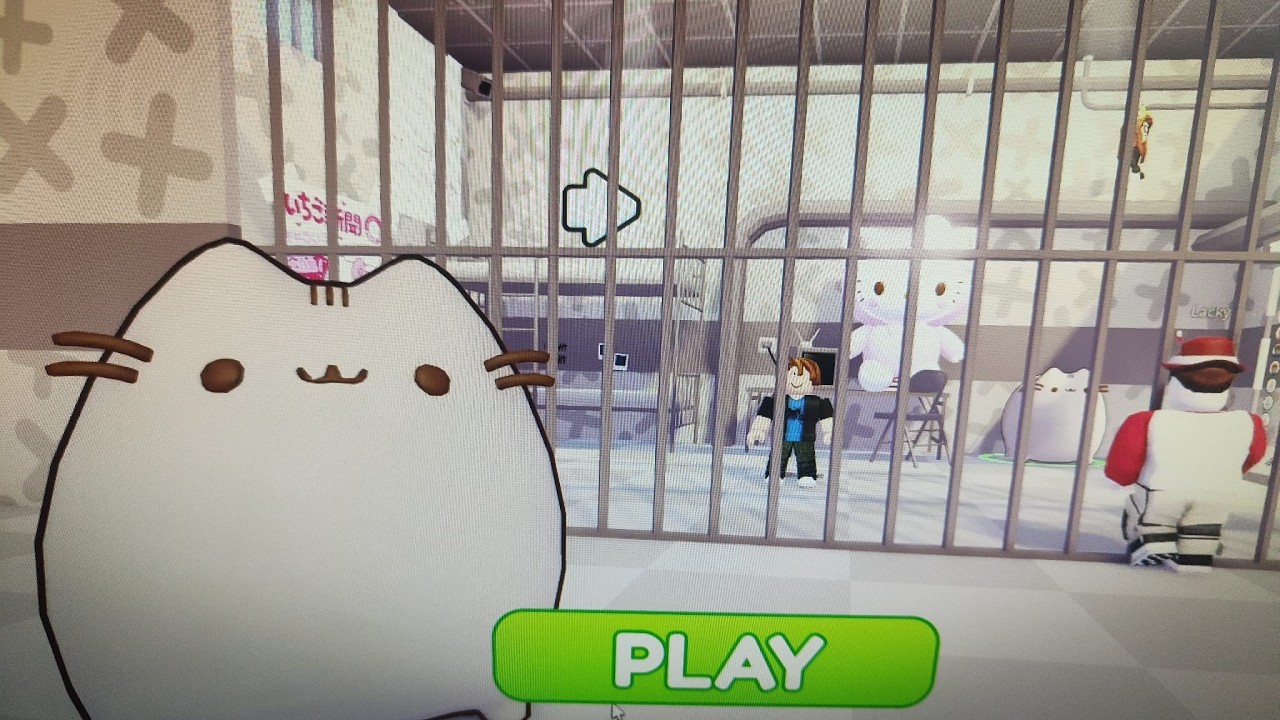 PUSHEEN`S PRISON CELL