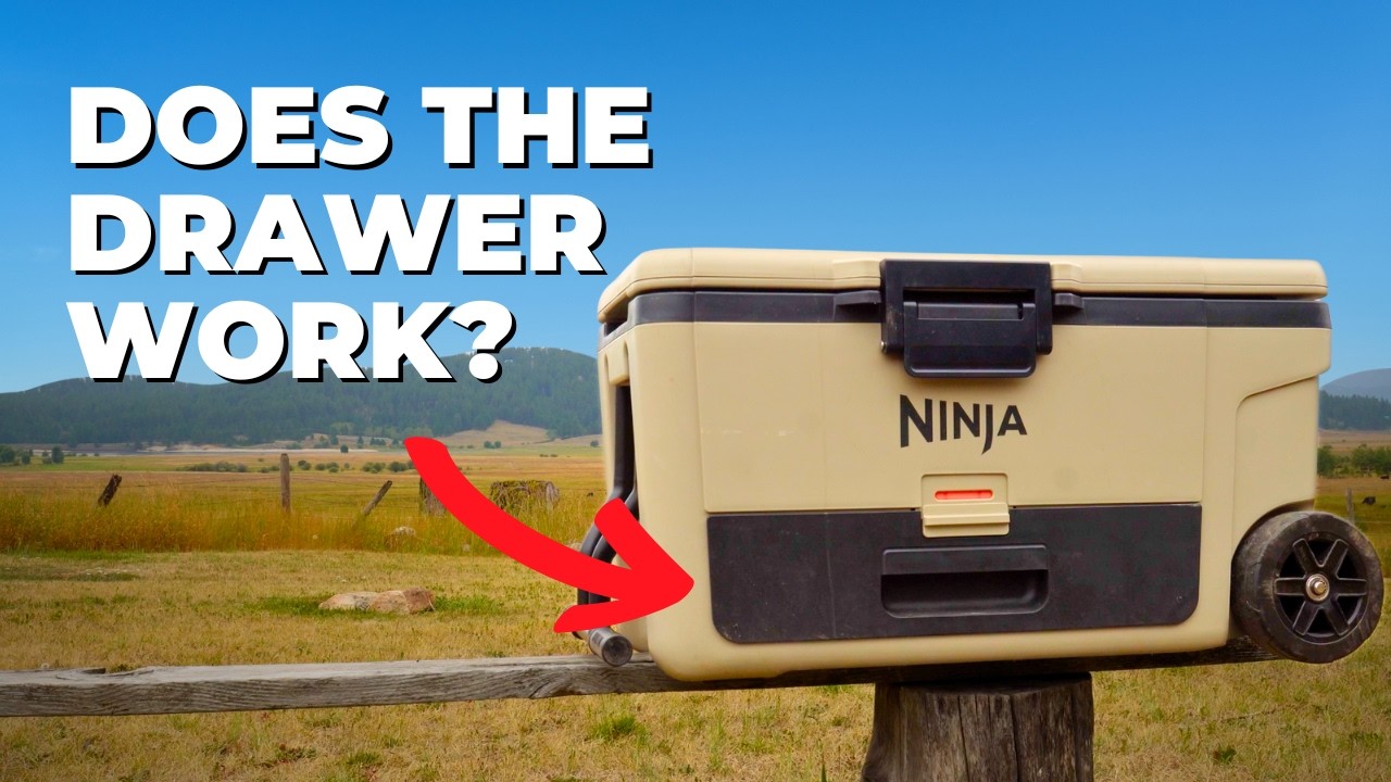 Ninja FrostVault Cooler Review: Gimmick or Game-Changer?