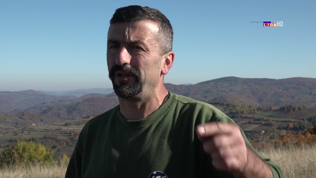 Mirko oči u oči sa medvedom