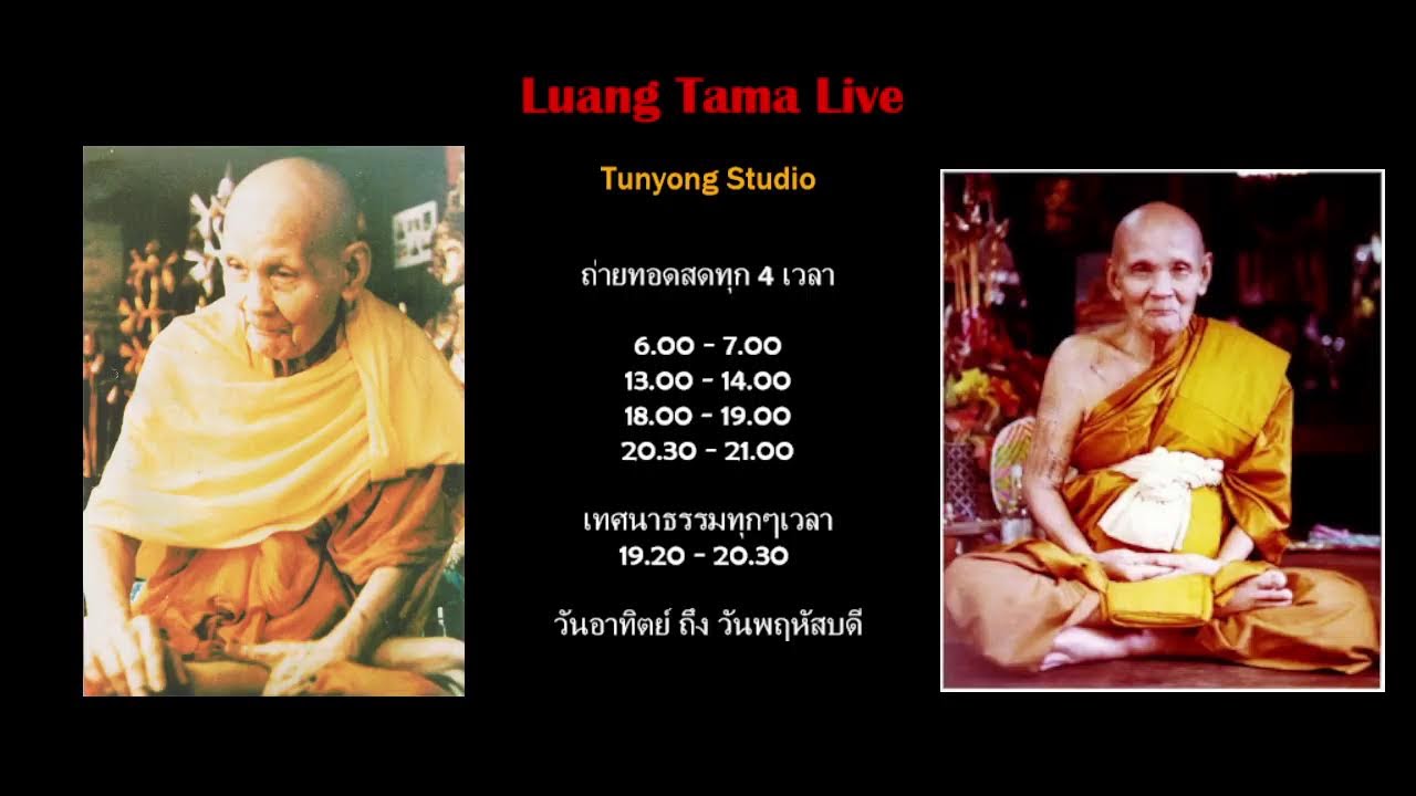 หลวงตาม้าถ่ายทอดสด วัดถ้ําเมืองนะ เชียงใหม่ Live Stream