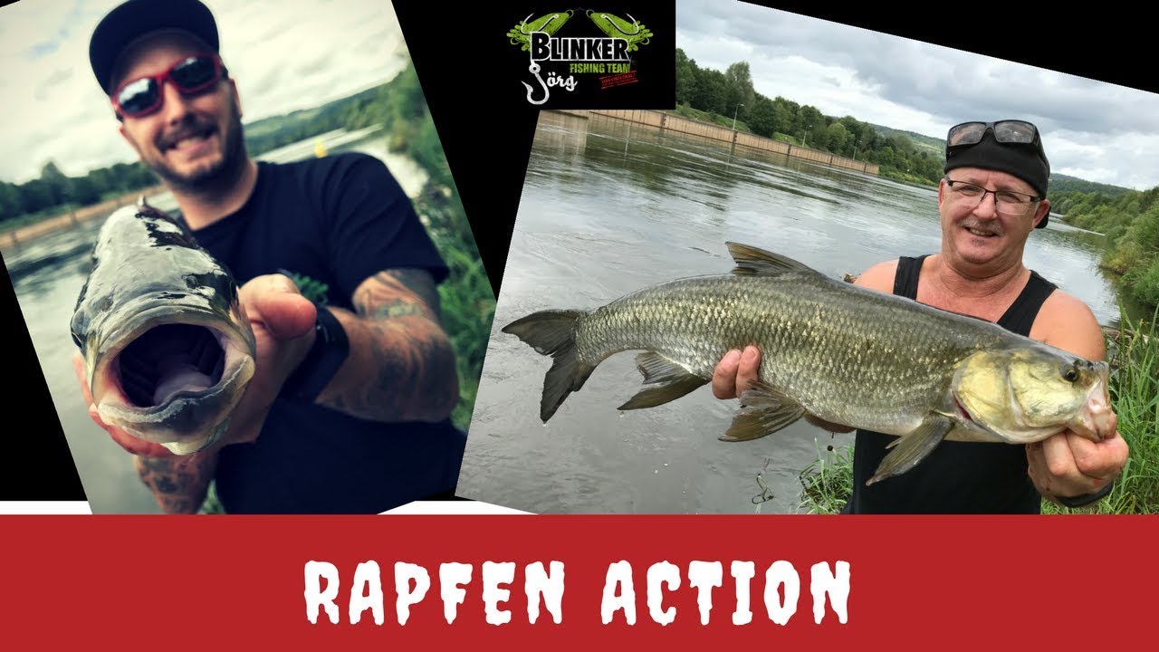 Rapfen Action - www.blinker-joerg.de