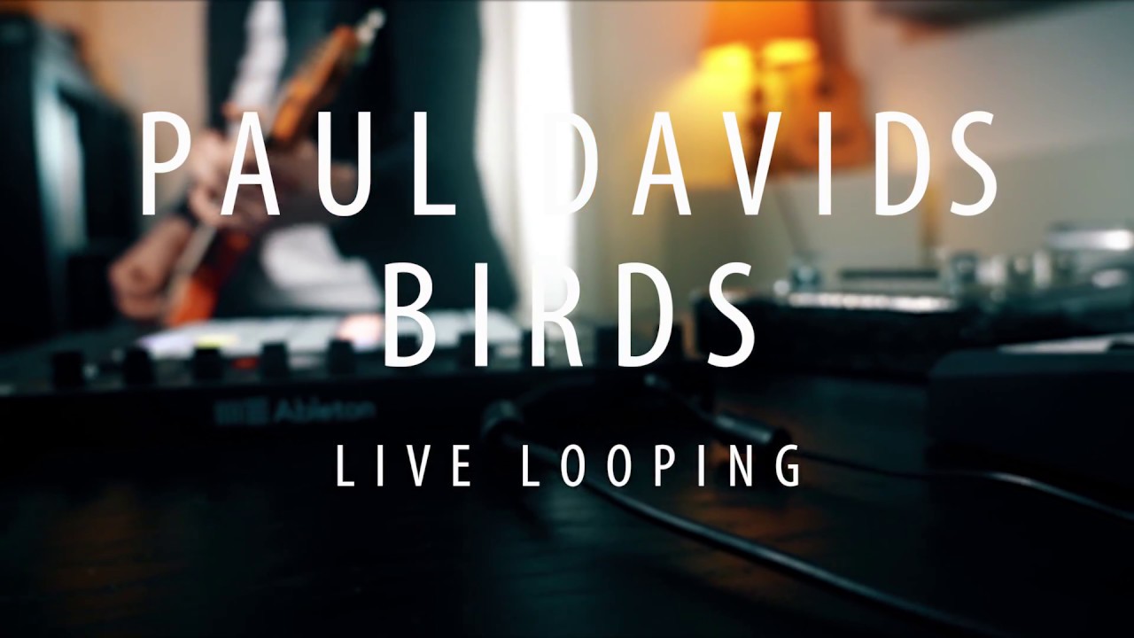 Epic Live GUITAR LOOPING - Birds