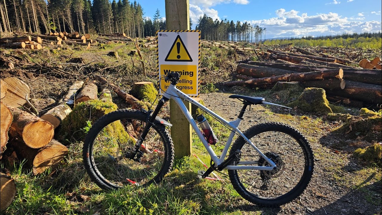Random MTB Trails Around Garvagh Forest - 24.06.2024