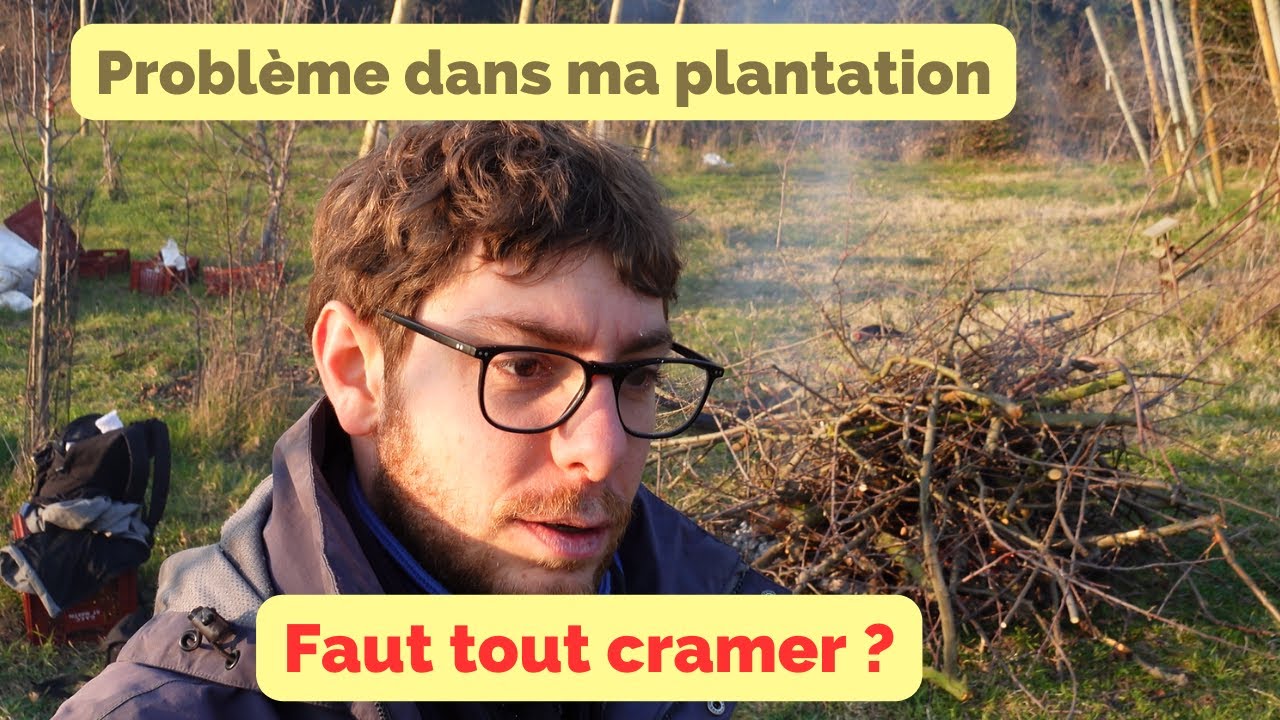 Saison 1 Ep 11 - Du feu bactérien au verger