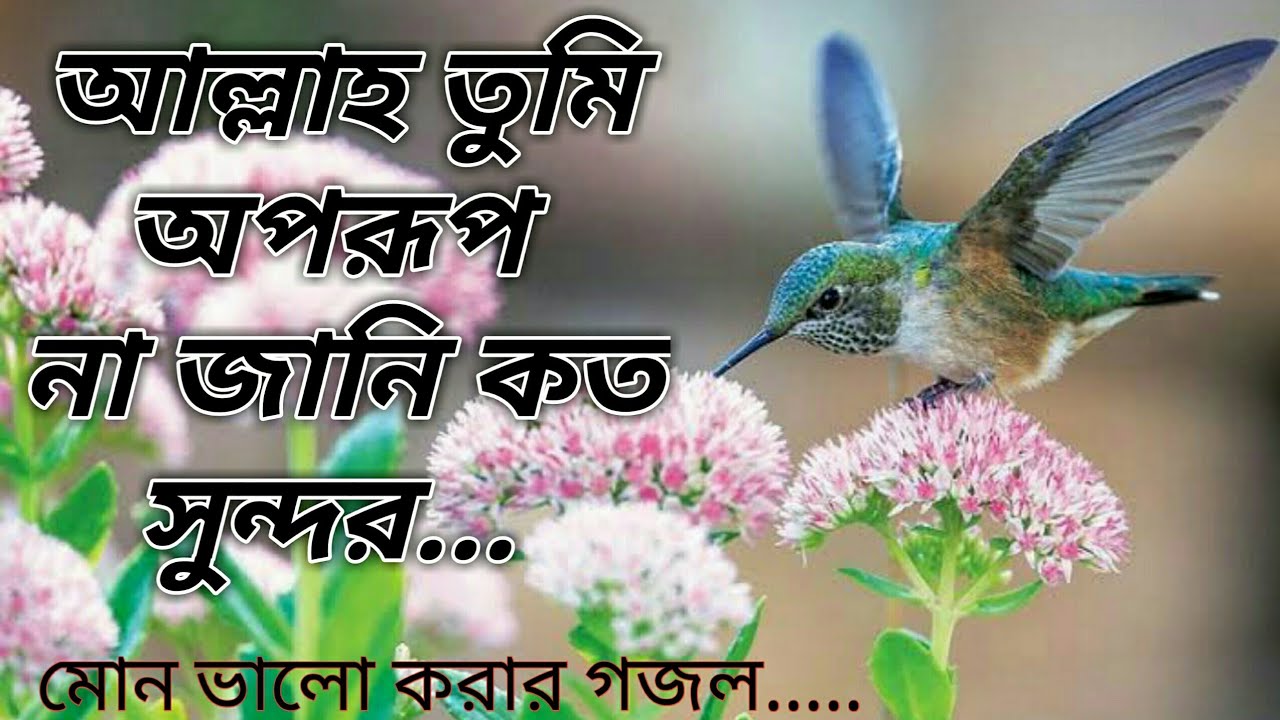 আল্লাহ তুমি অপরূপ না জানি কত সুন্দর।। allah tumi oporup na jani koto sundor।। New Bangla gojol  2020