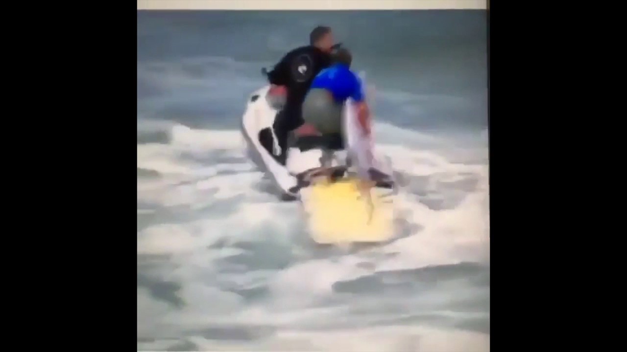 KOOKS, FUNNY SURF FAILS: (@LIFEOFKOOK)