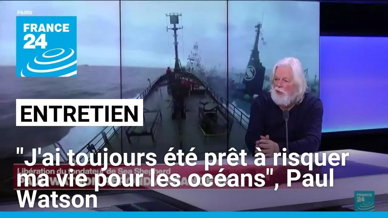 Entretien avec Paul Watson : 