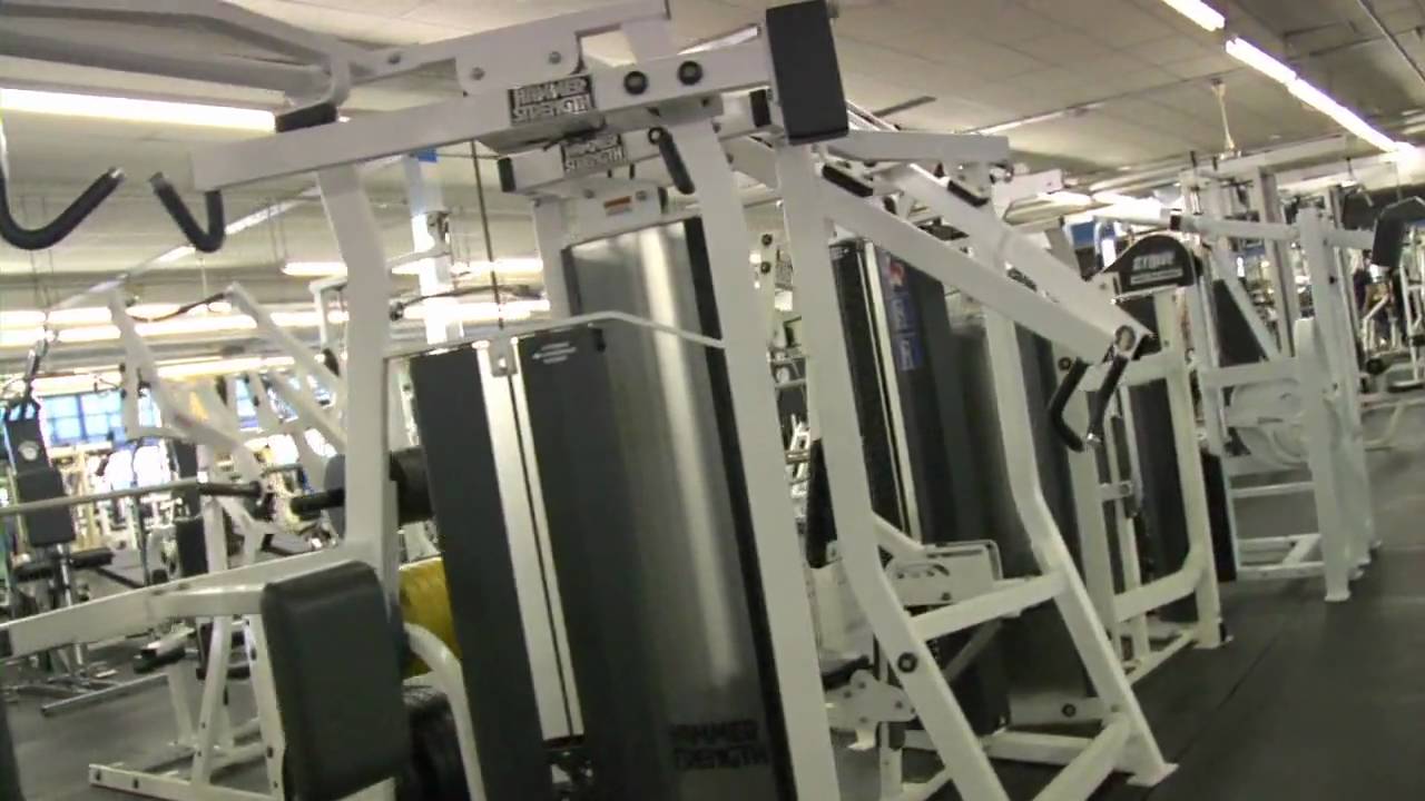 BACK - Strong and Shapely Gym