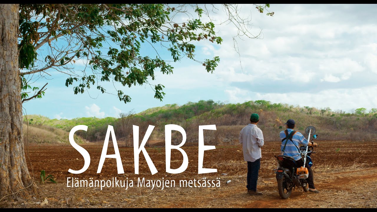 Sakbe - El&auml;m&auml;npolkuja Mayojen mets&auml;ss&auml;