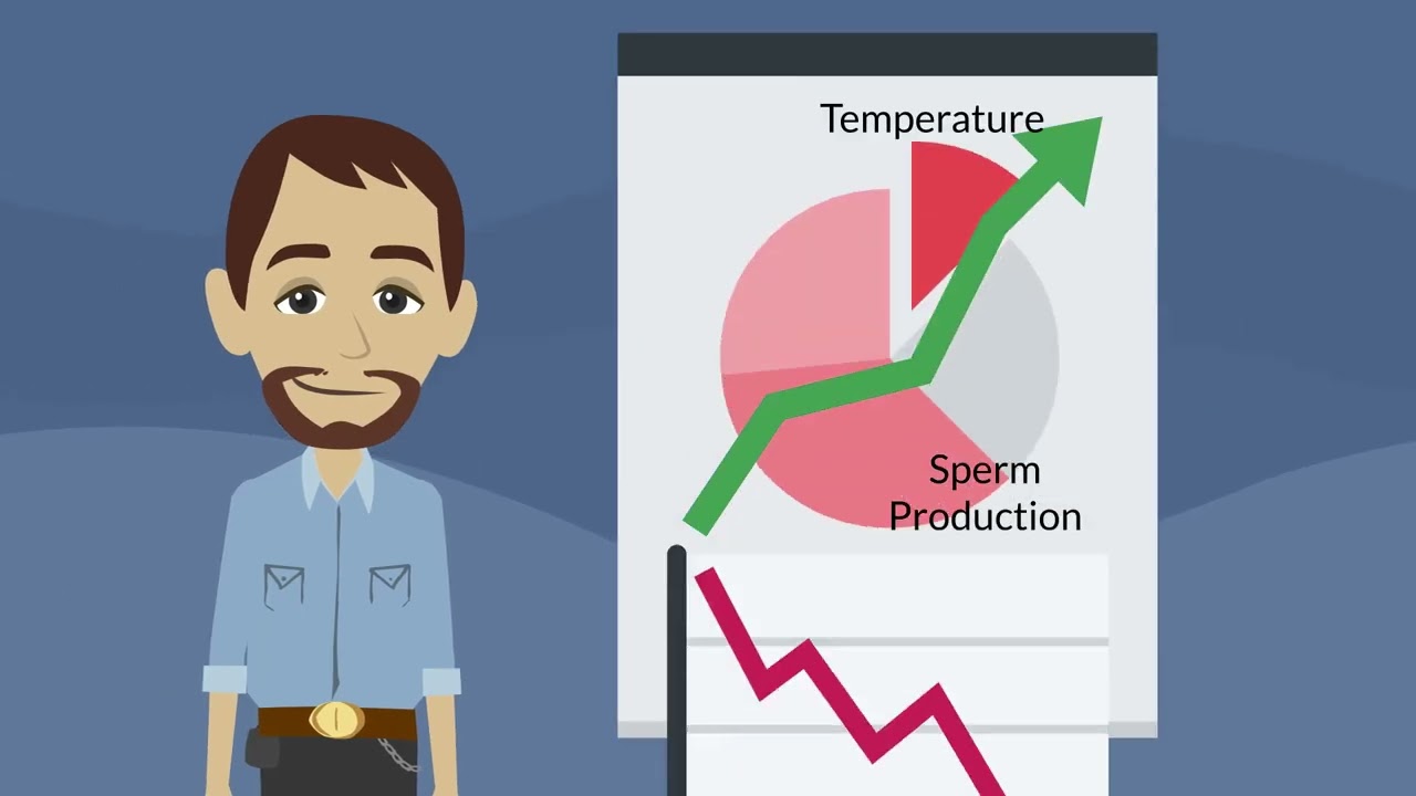 Entrelac.coop: Revolutionizing Male Contraception with the Androswitch