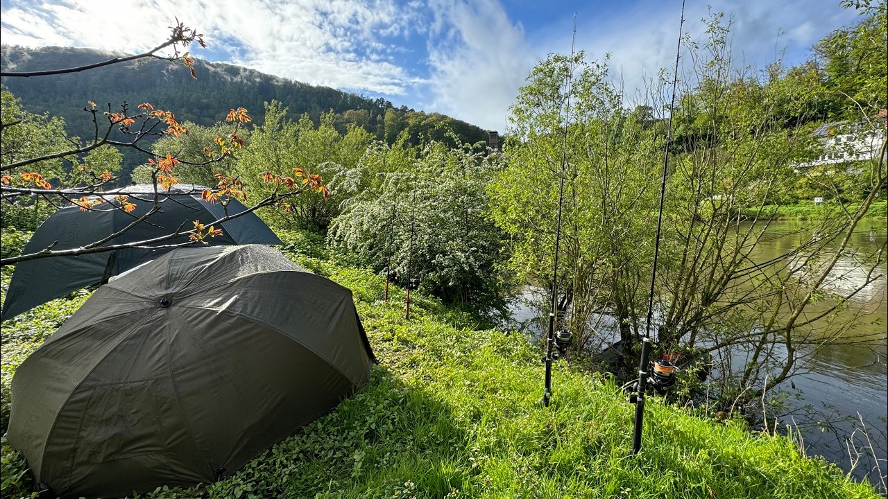 Klassisches Steinpackungsangeln auf Wels mit U-Pose i Fr&uuml;hjahr | Auslegen am eigenen Ufer m Umlenken