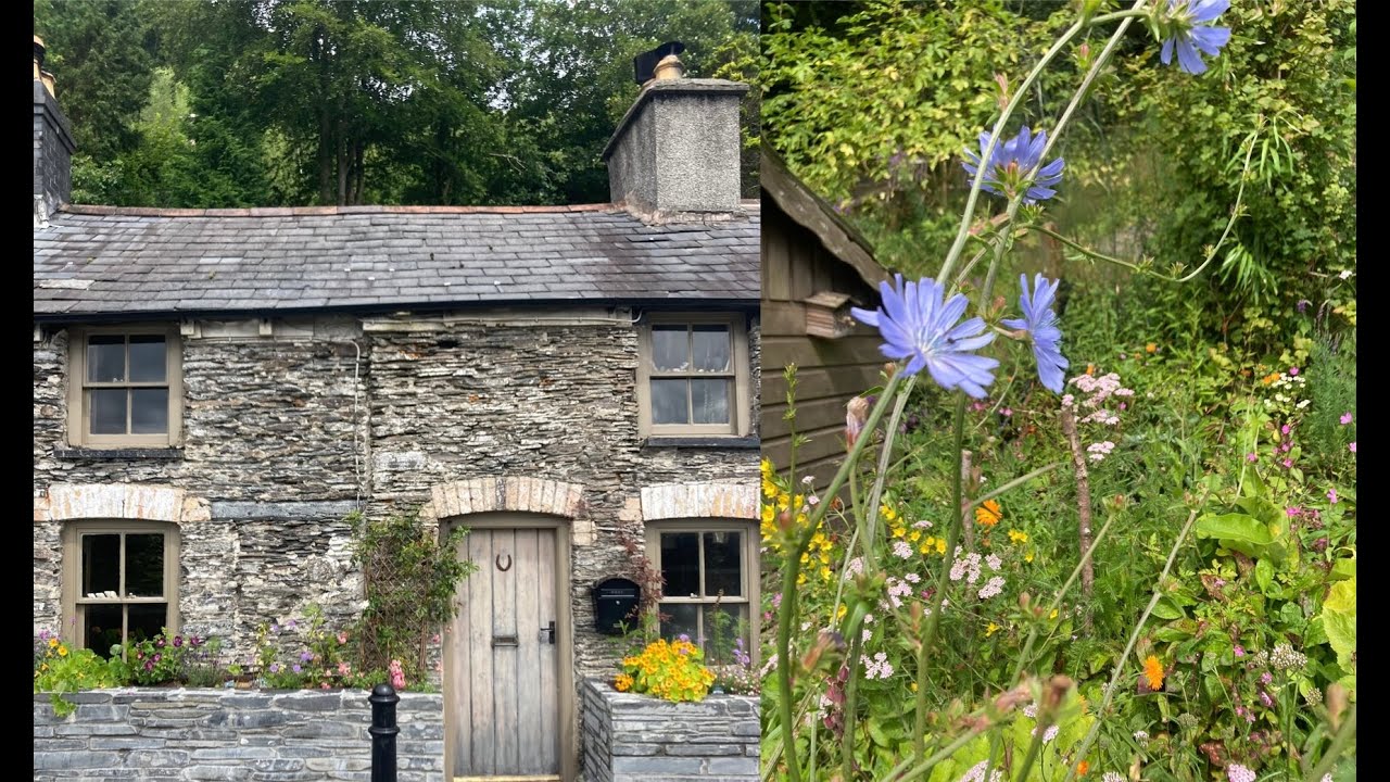 Our Apothecary Kitchen Garden