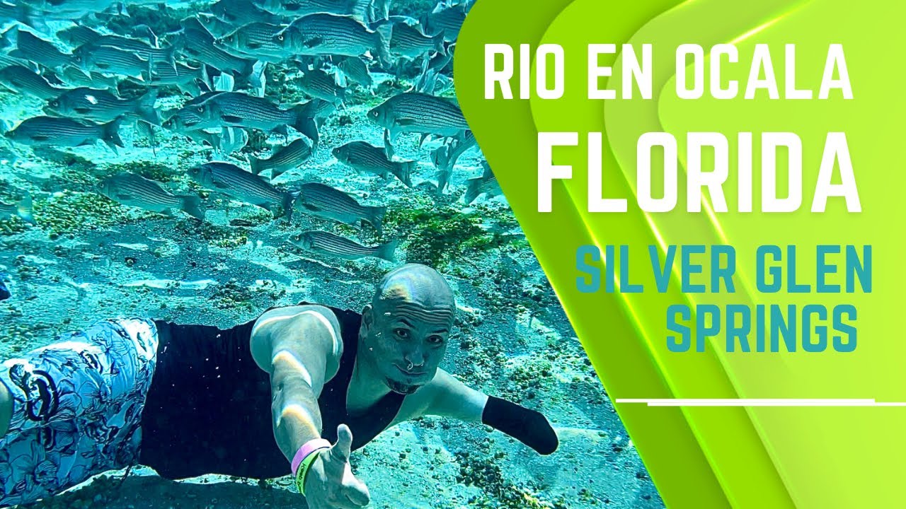 Rio en OCALA FLORIDA usa 🇺🇸 Tour parque SILVER GLEN SPRINGS @claudiacarmonatravel