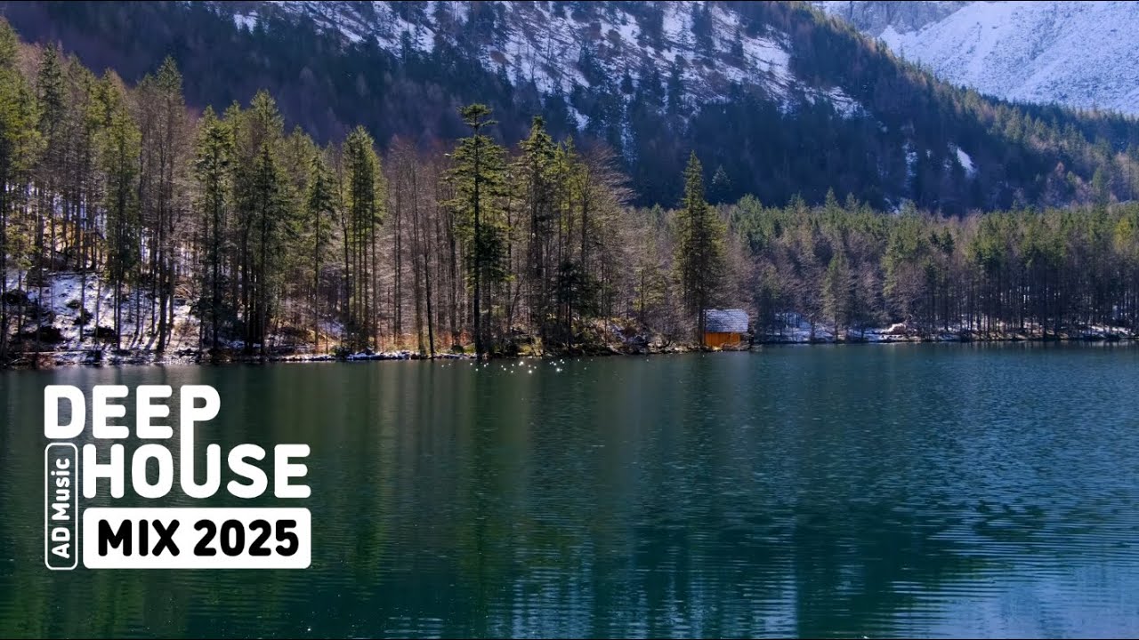 Deep House Mix 2025 | Deep Forest Chillout 🌲 Study, Relax & Nature Music