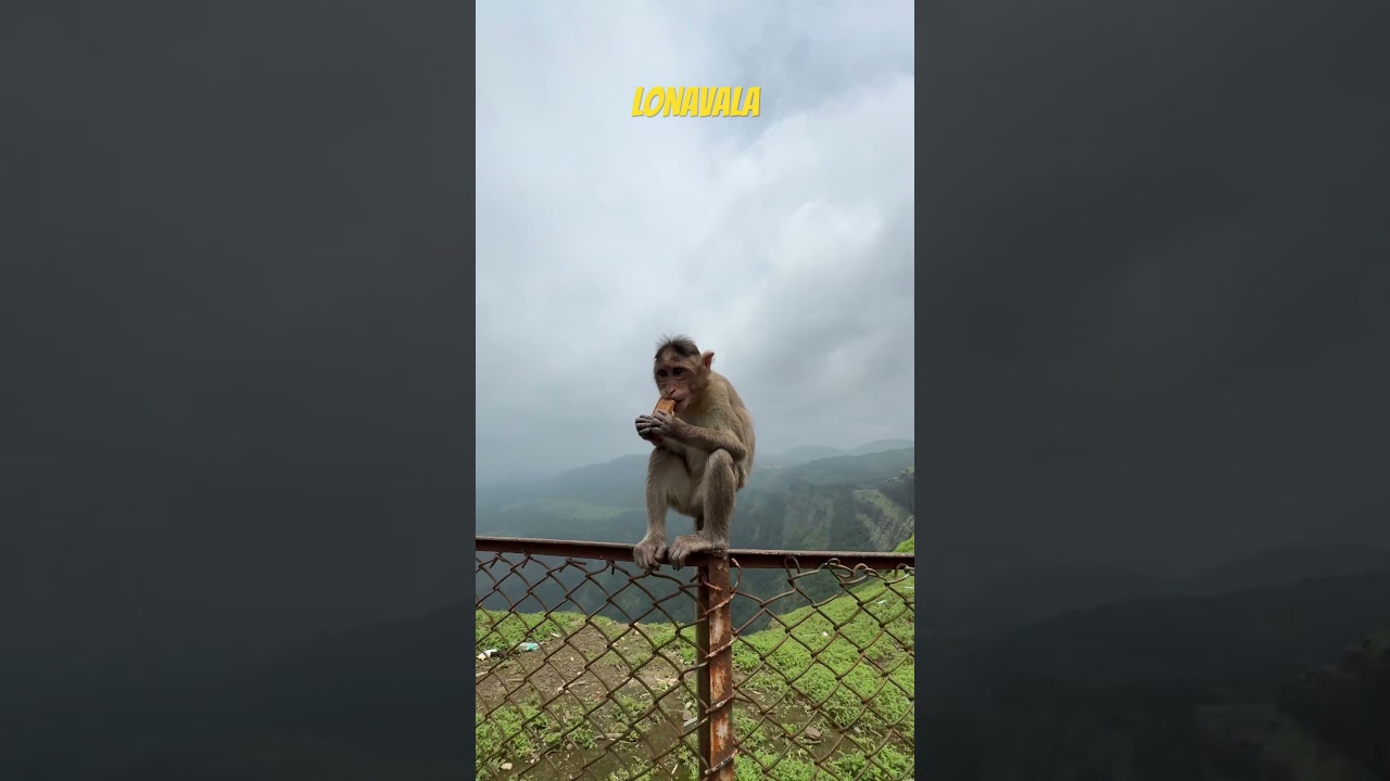 Tiger point Lonavala #maharashtra
