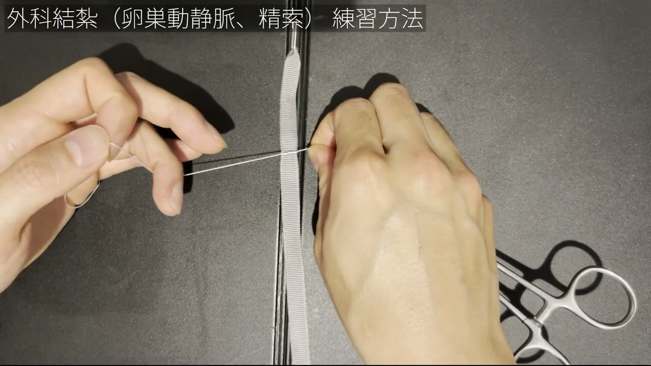 【縦】外科結紮（卵巣動静脈、卵巣堤索の結紮）