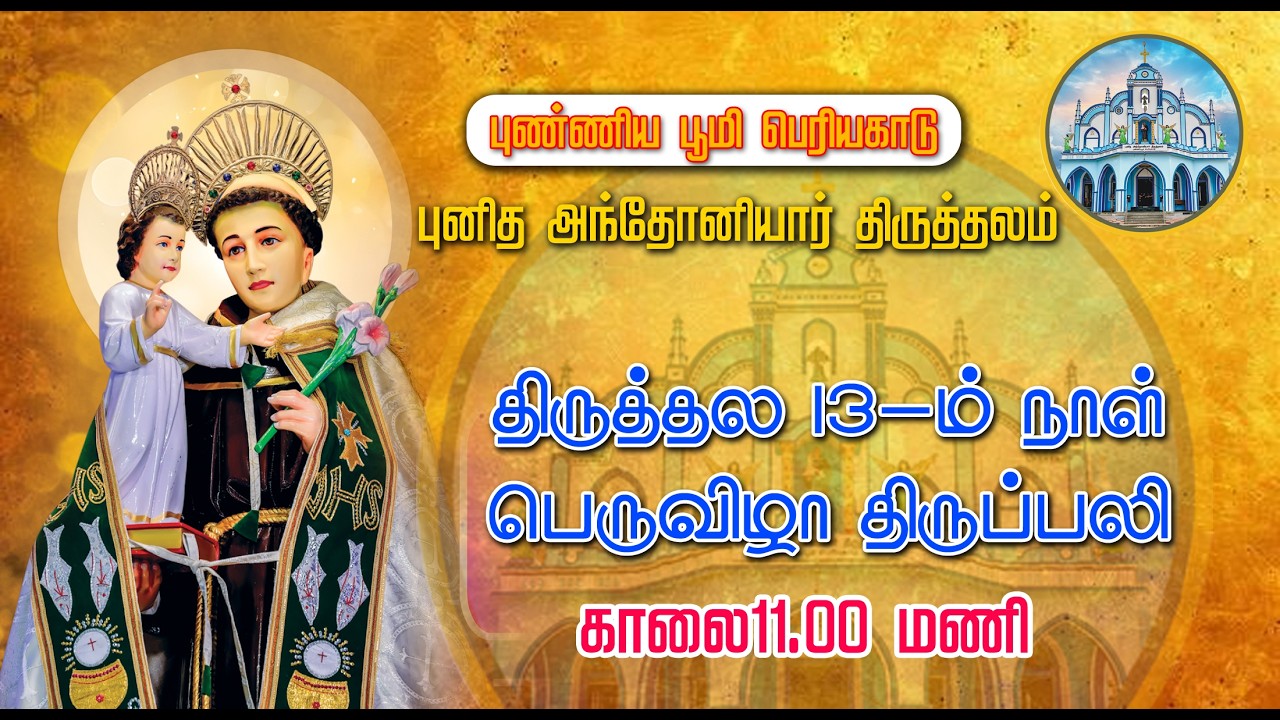 St. ANTONY'S CHURCH | PERIYAKADU | FESTIVAL  MASS |08-02-2026 |  DAY 13| MARIYA MATHA TV | 11.00 AM|