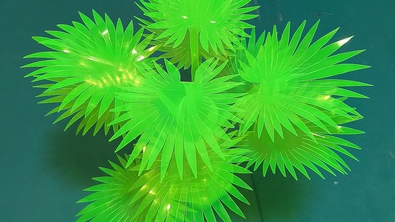 anahaw plant made out of recycled bottle/best out of waste