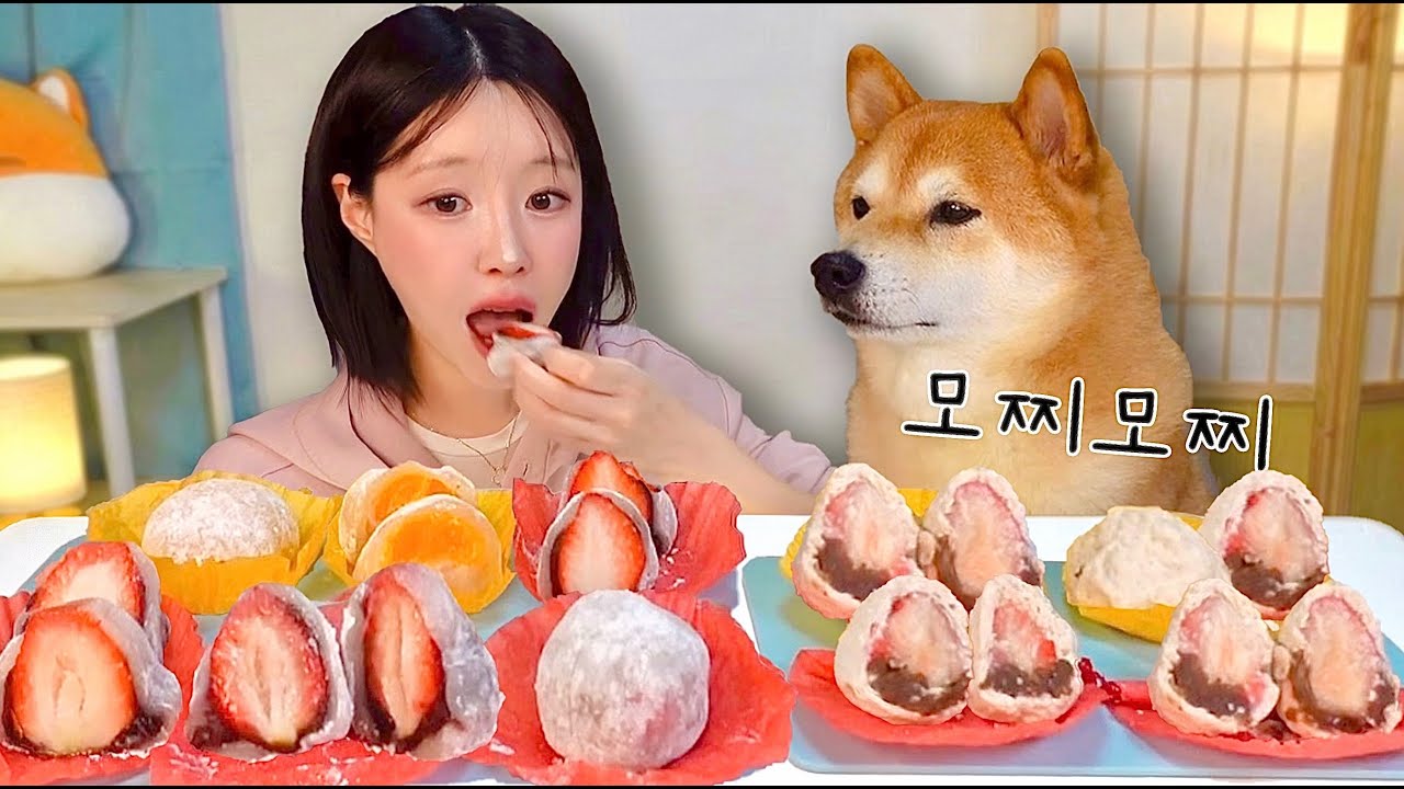 과일모찌 vs 과일멍찌