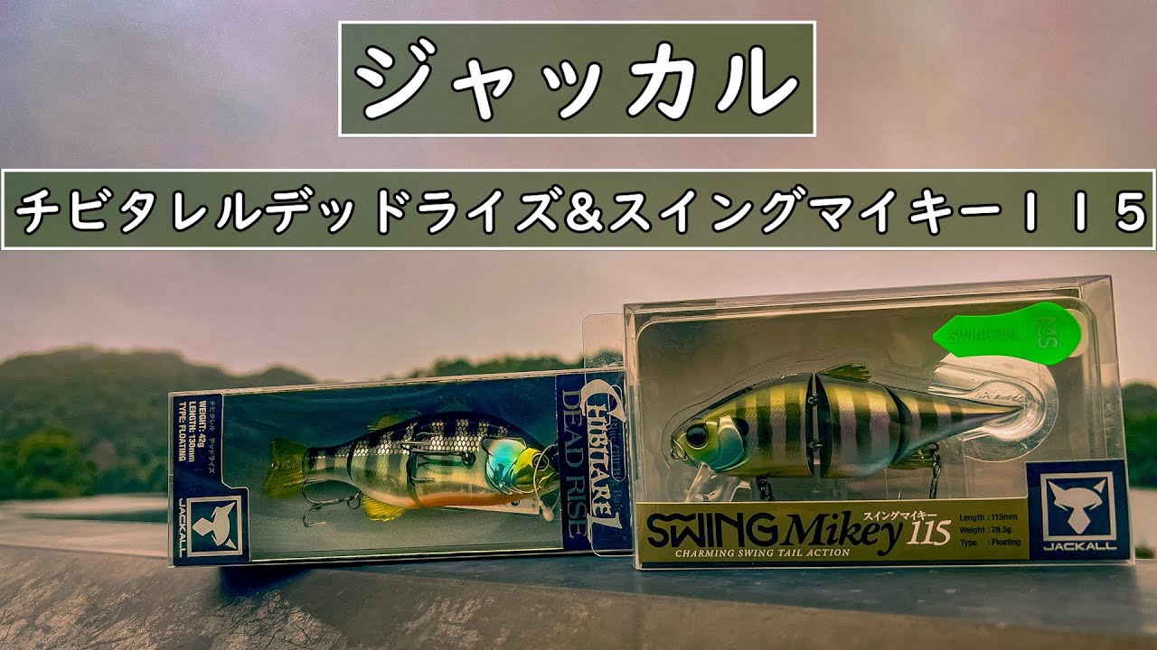 【バス釣り】スイングマイキー１１５とチビタレルデッドライズを使って１日釣りしてみた【ジャッカル】