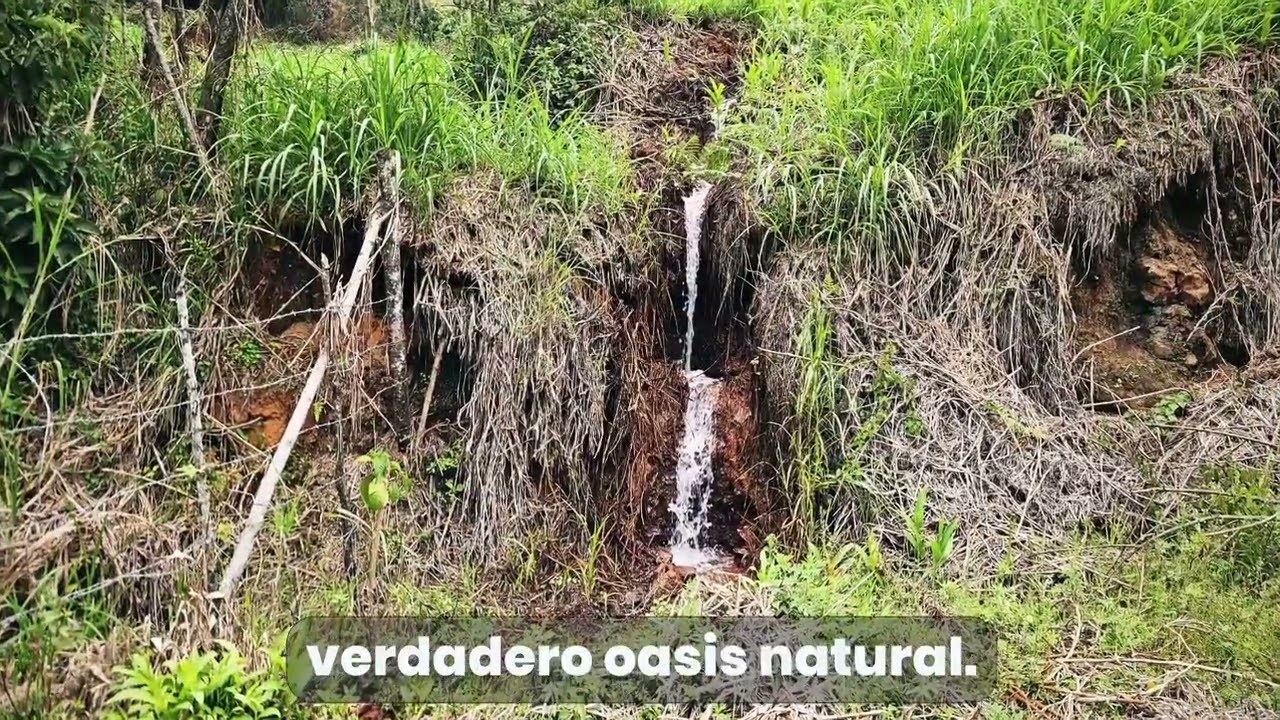Finca en venta, Fómeque Cundinamarca,