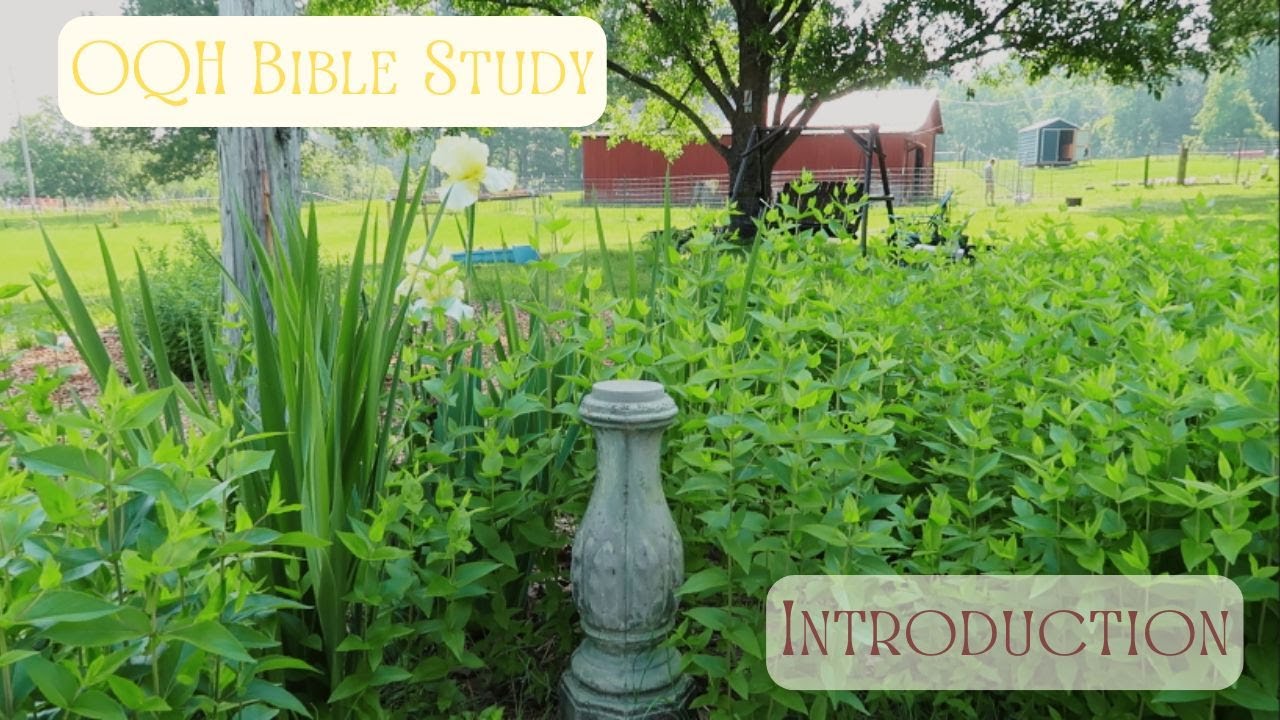OQH Bible Study Intro