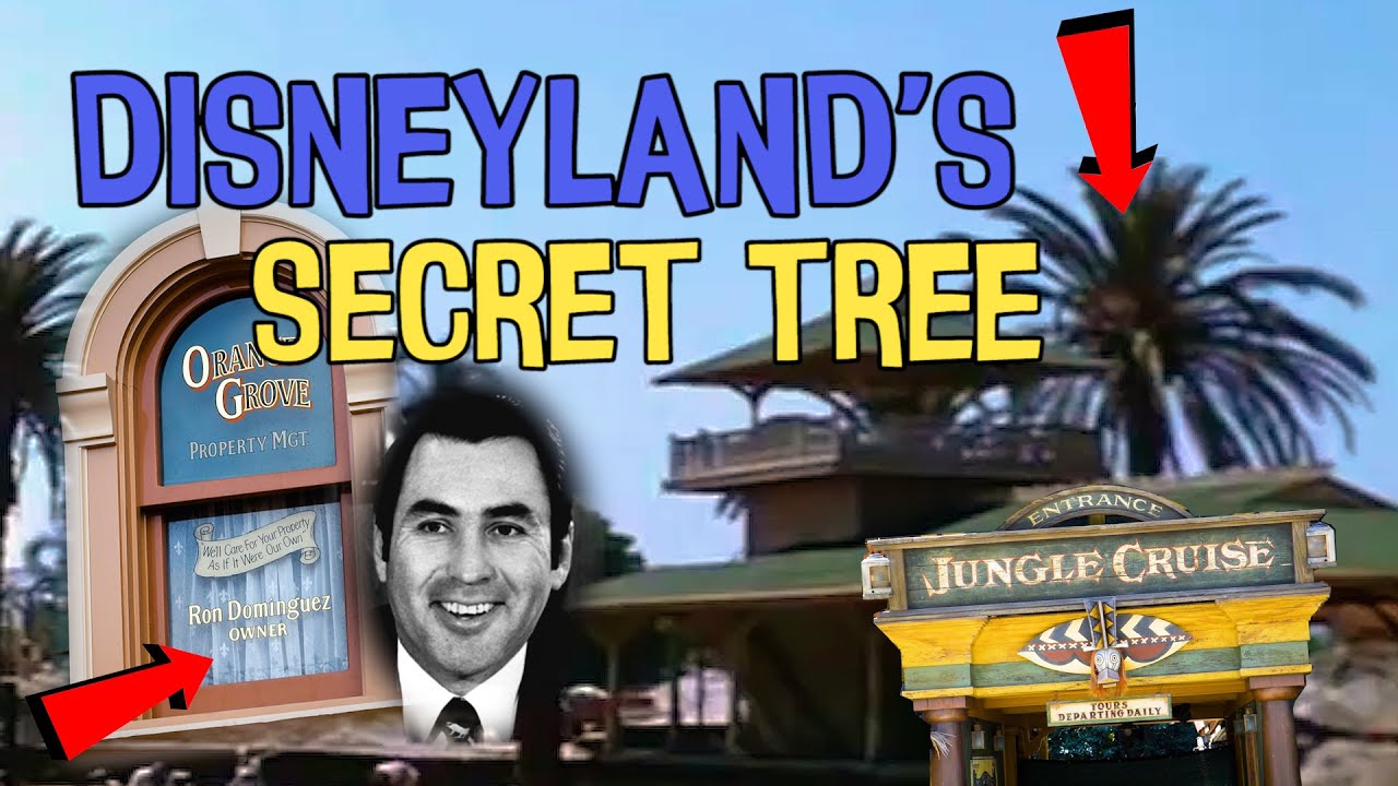 This HISTORICAL Tree Existed BEFORE Disneyland (The Dominguez Palm Tree) | WHERE You Can See It!