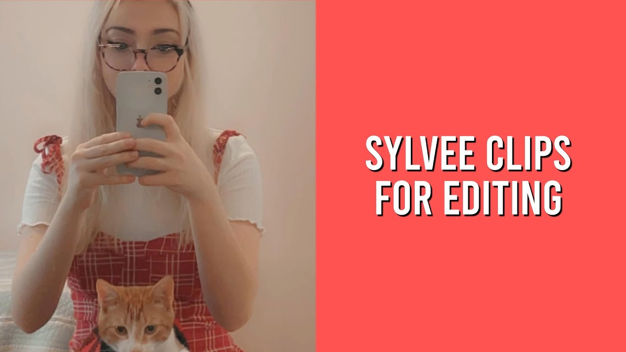 Sylvee Clips for Editing (+mega link)
