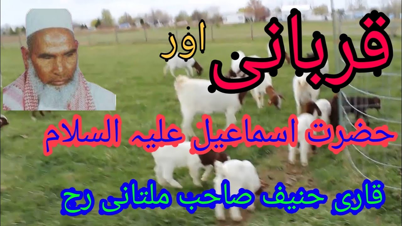 قربانی اور اسماعیل علیہ السلام  قاری حنیف ملتانی || QARI haneef multani qurbani aur ismaeel a.s.
